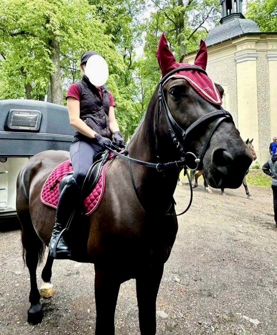 7 ročná kobylka Iwka :) - 3