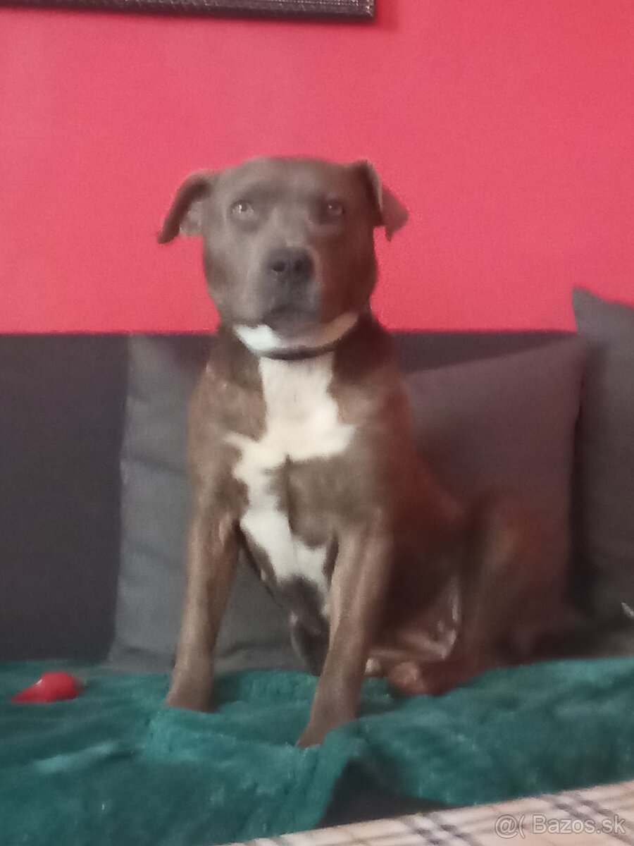 ivanbengoro3@gmail.com - 3