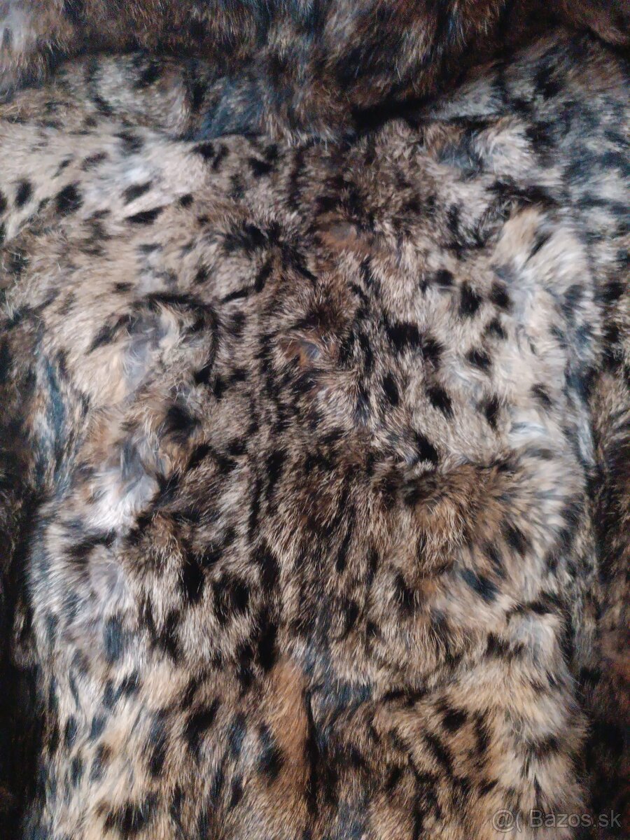 Pravý kozuch Rys ostrovid - 3