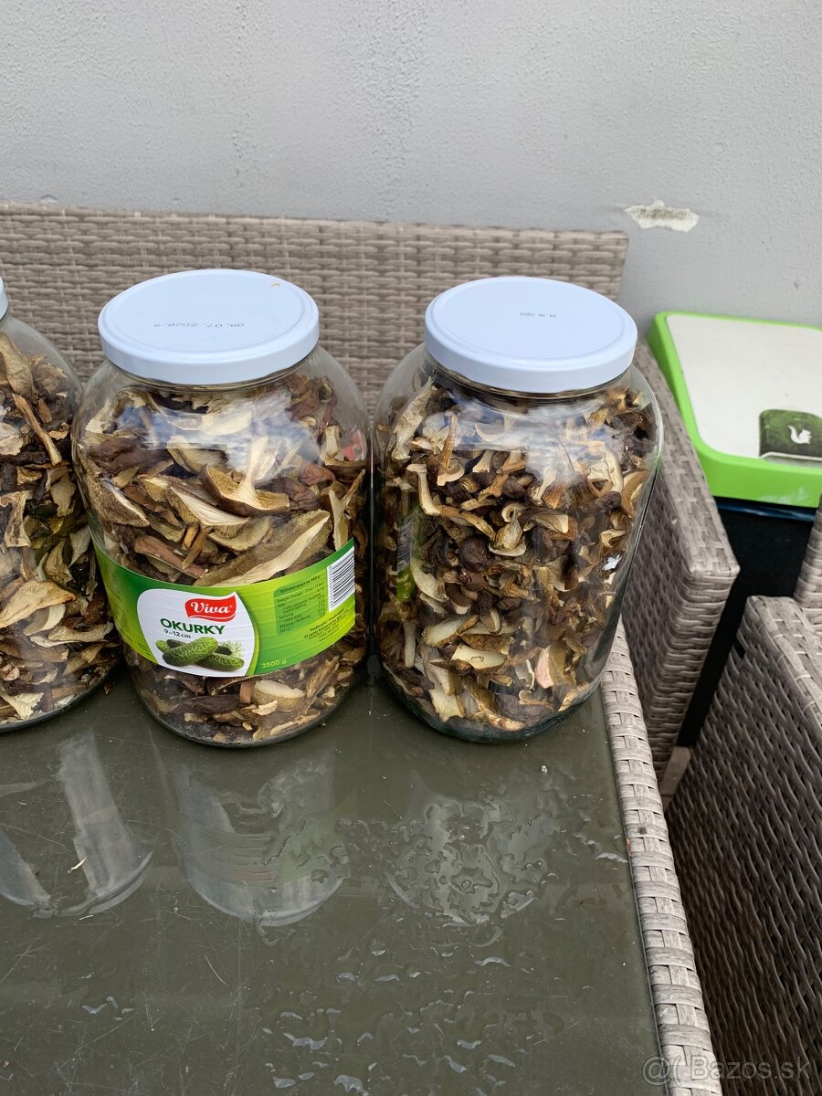 Predam susene hriby - 3