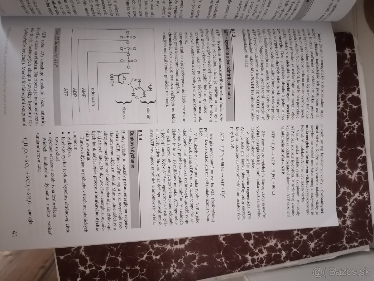 Maturita z biológie - 3