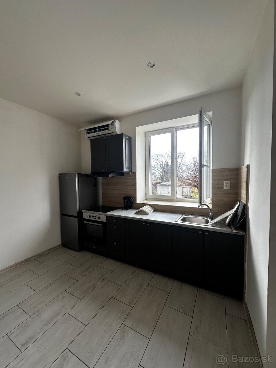 Velky 1-izbovy byt na prenajom - 3