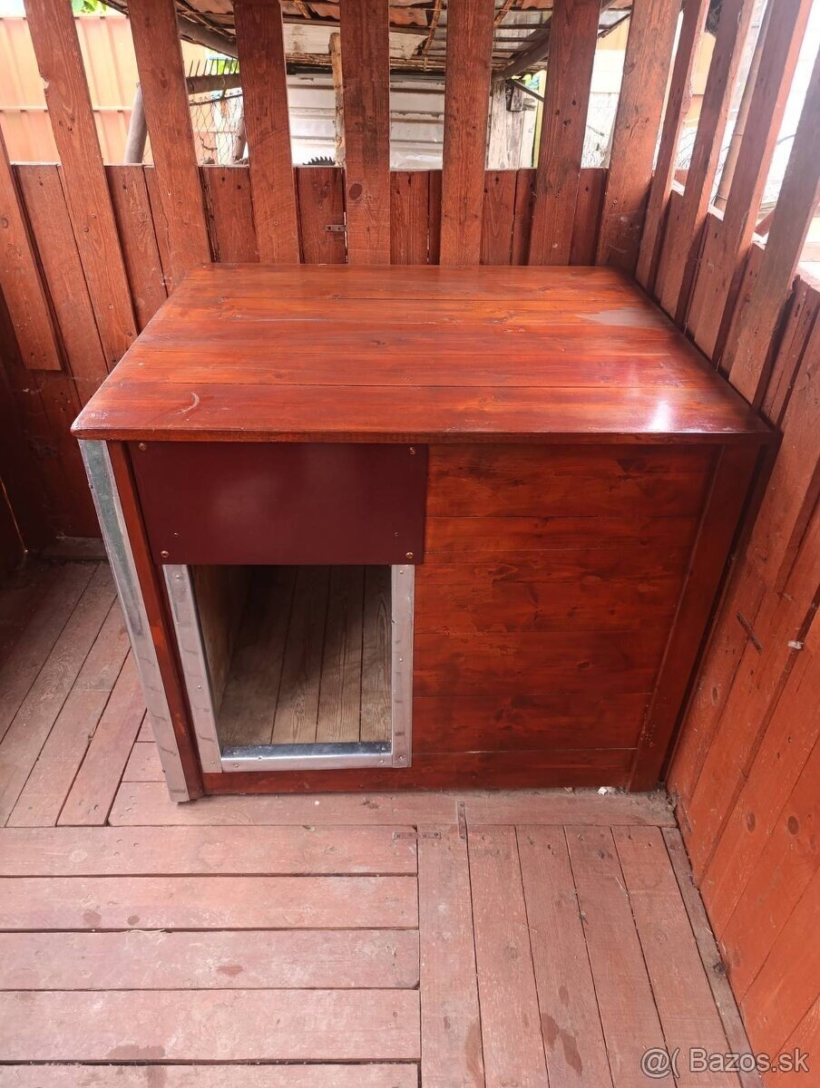 Búda pre psa - 3