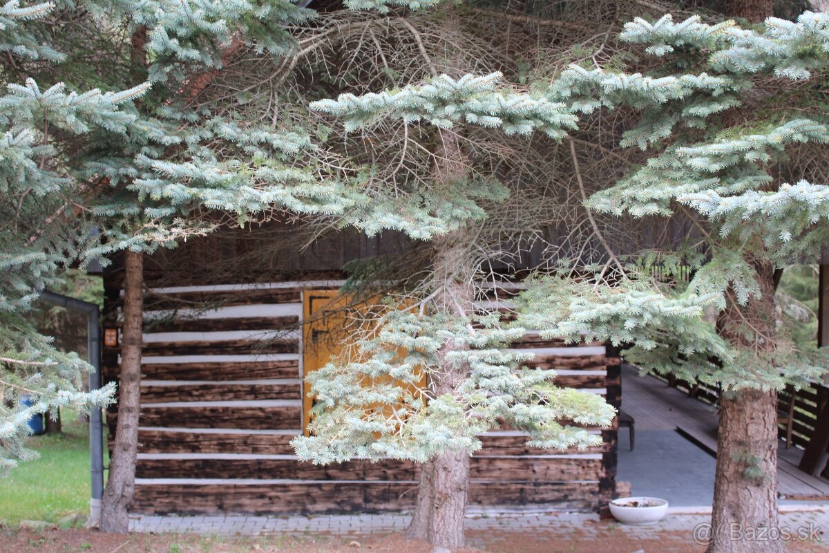 Predám chatu v obci Ostrý Grúň - 3