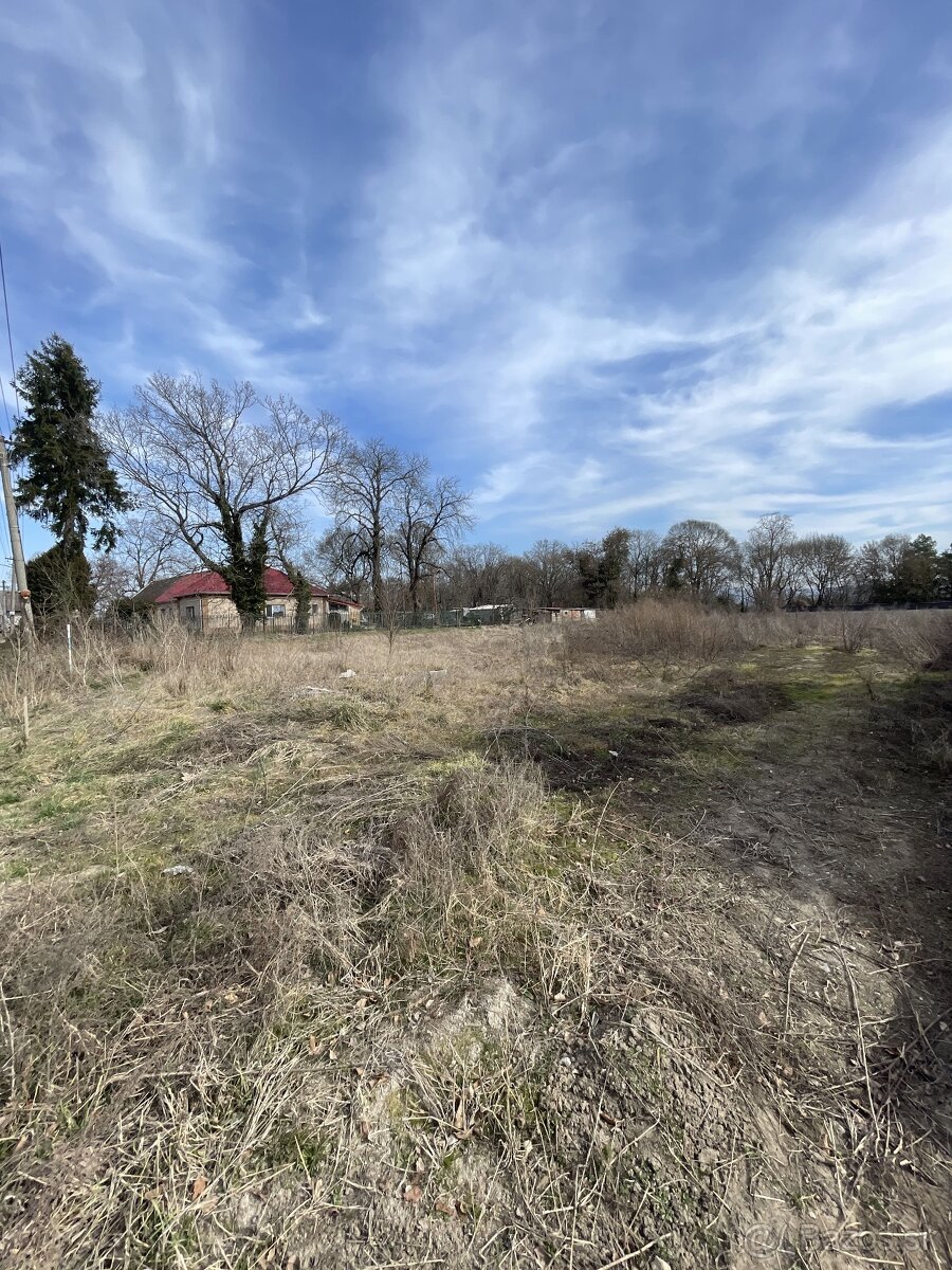 Stavebný pozemok v centre obce Borovce - PREDAJ - 3