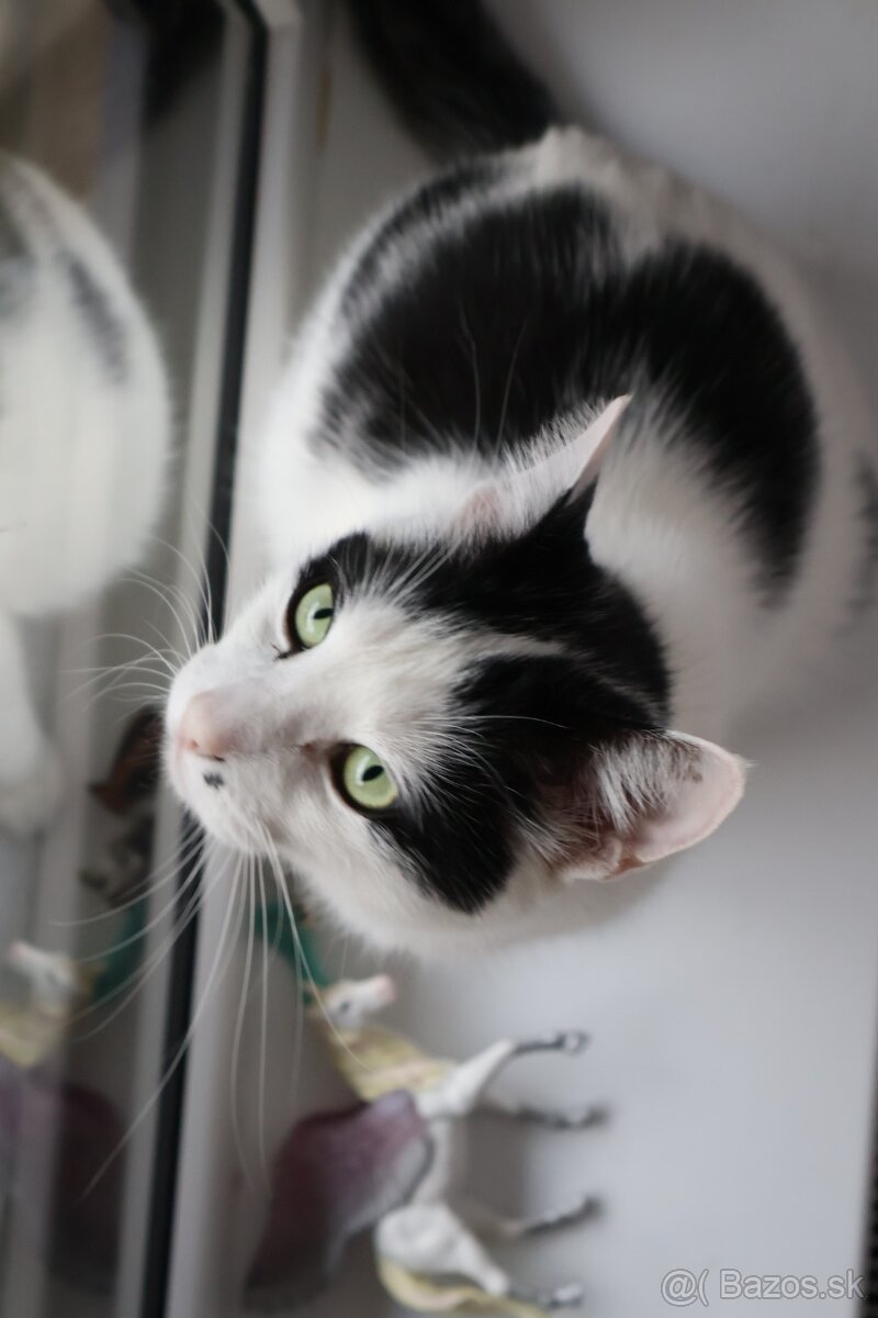 Len do dobrých rúk - 3