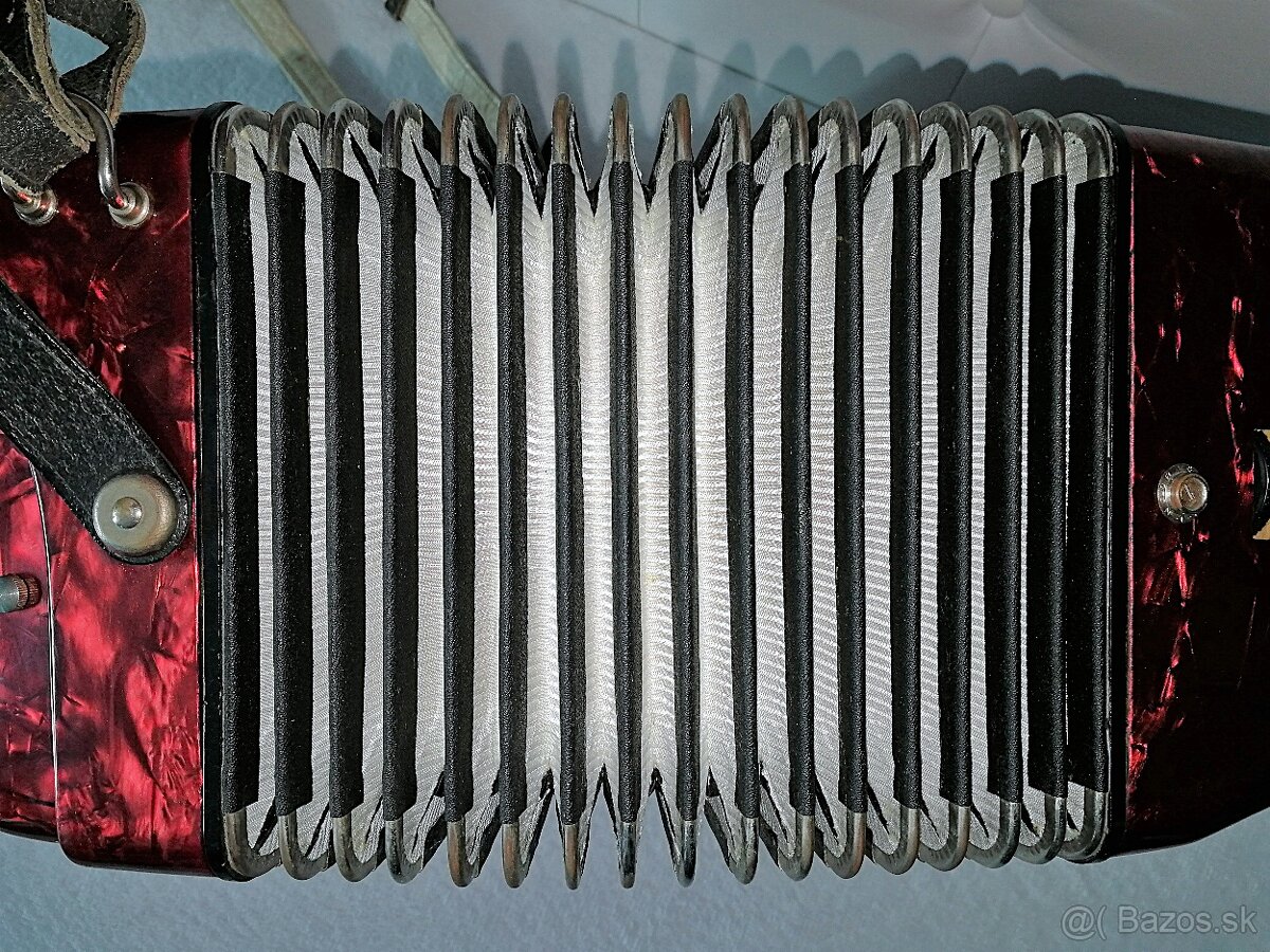 Predam akordeon Delicia Junior 32bas. - 3