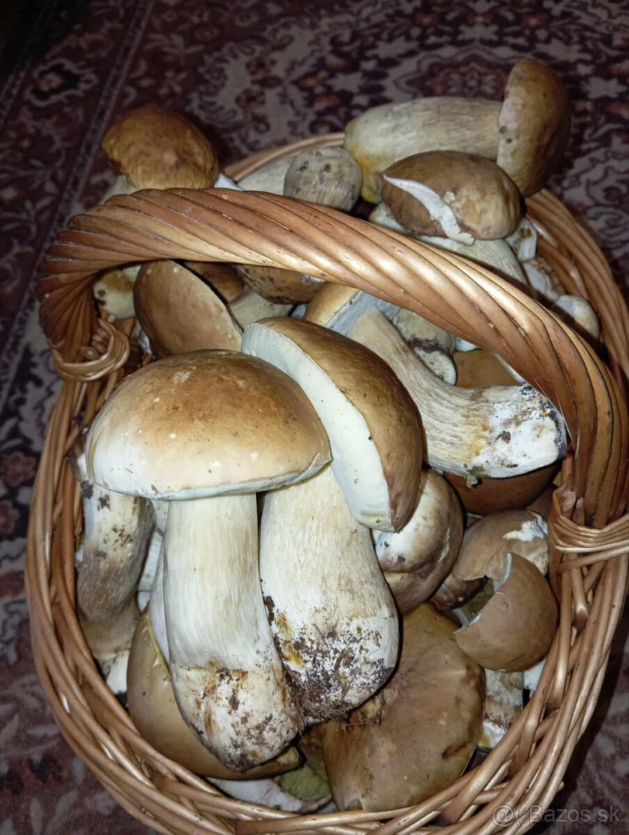 Sušené hríby - 3