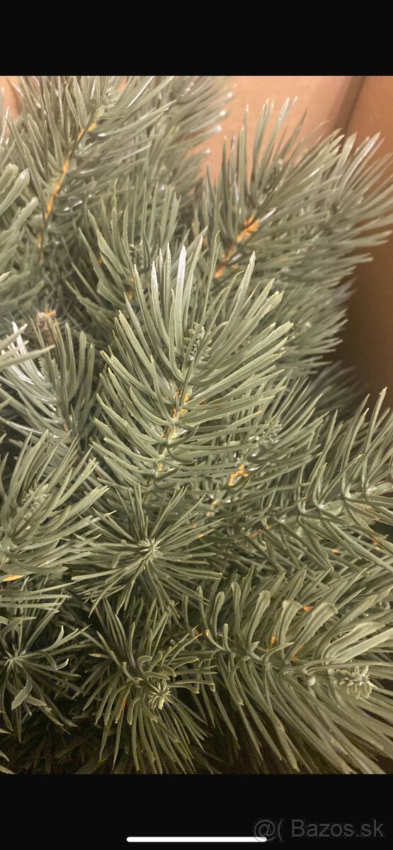 Vianočný stromček 180cm - 3