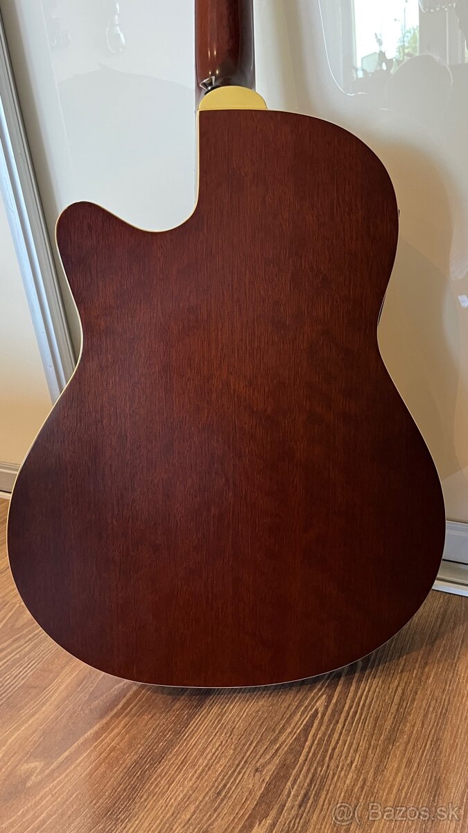 Elektroakustická gitara IBANEZ - 3