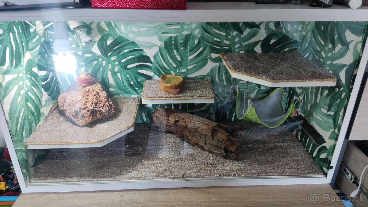 Agana+ terarium komplet - 3