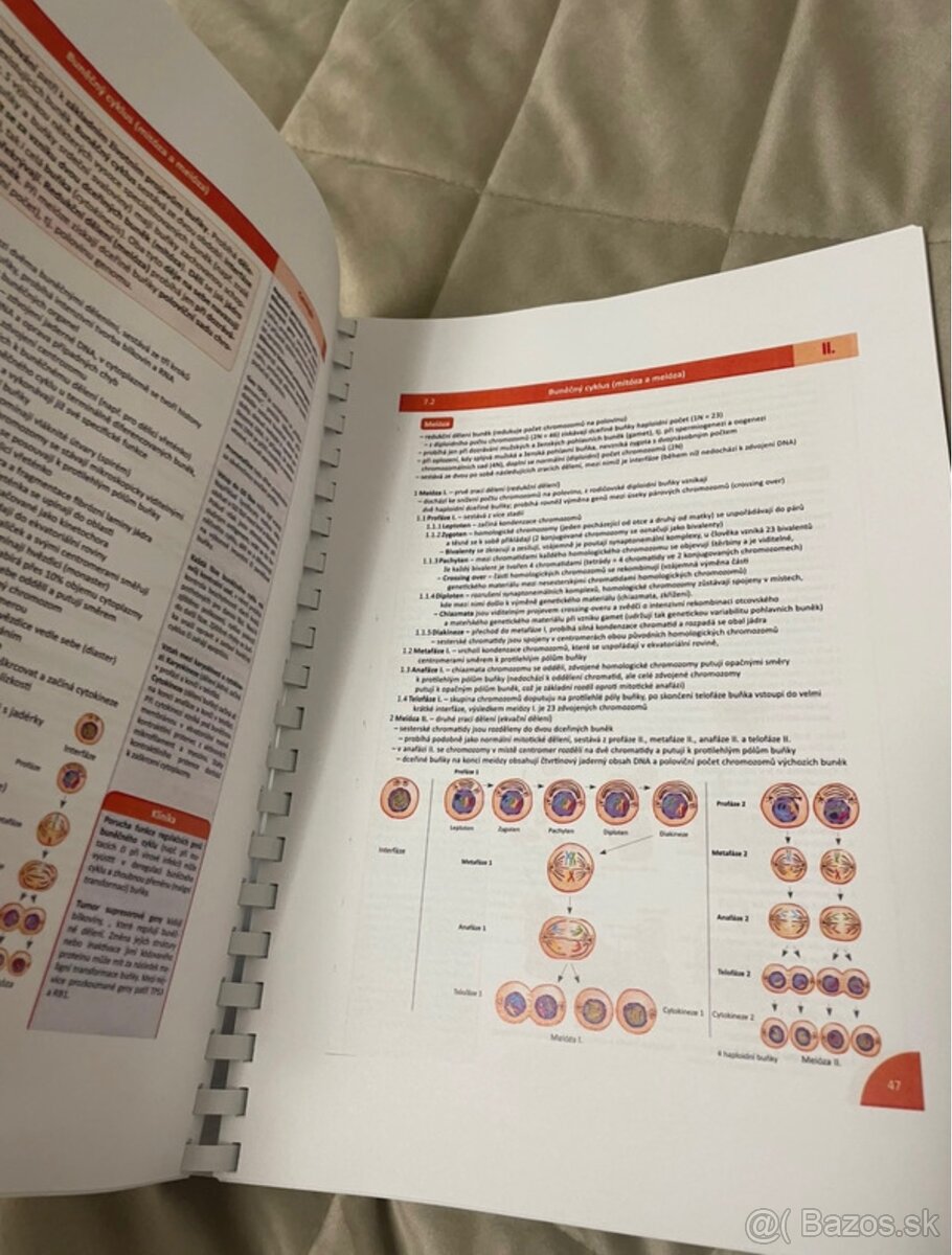 Memorix Histologie - 3