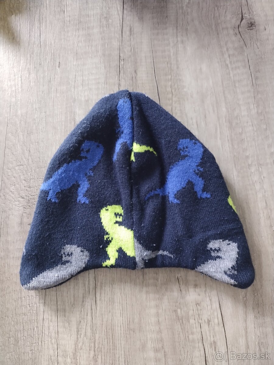 Zimna ciapka dinosaurus 92/104 - 3