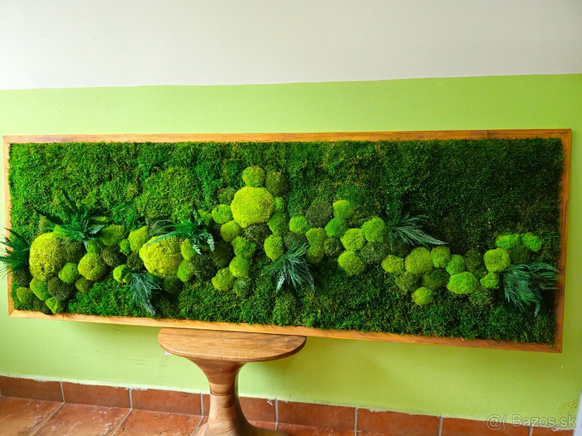 Machový obraz rastliny - 3