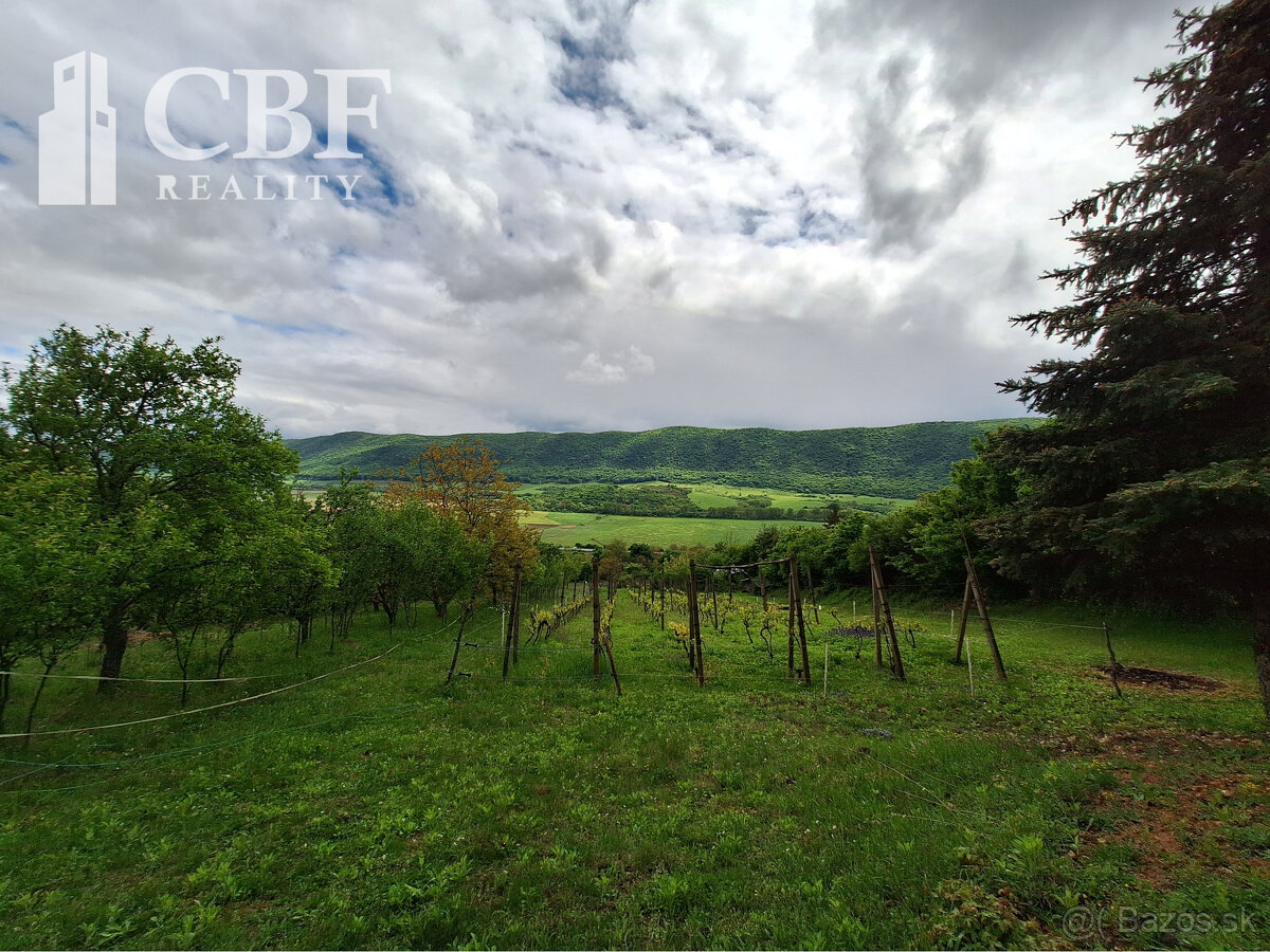 22.000 ZÁHRADKÁRSKA CHATKA S VINIČOM NA PREDAJ V HRHOVE - 3