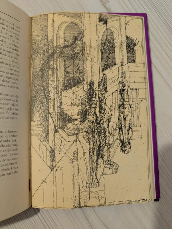 "Králi noci" - Caragiale Mateiu I. - Kniha s obrázkami - 3