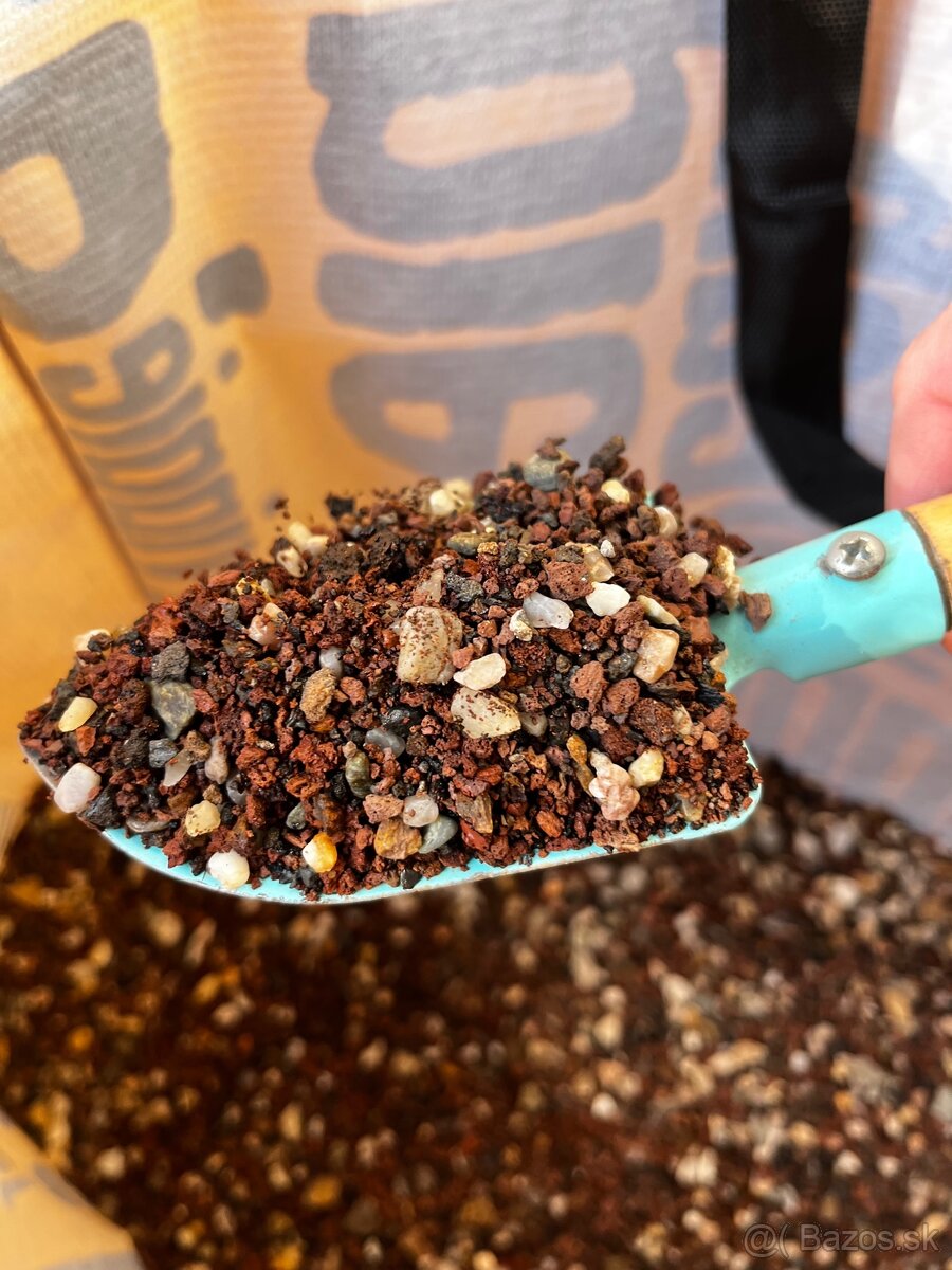 Rastliny do akvaria a strk - 3