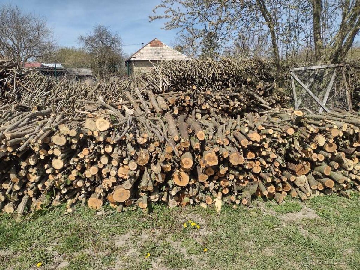 Palivové drevo - 3