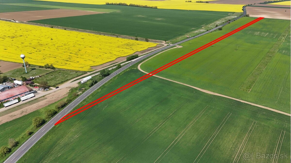 Blatné – 7.200 m2 ORNÁ PÔDA 1/1 s prístupom od cesty - 3