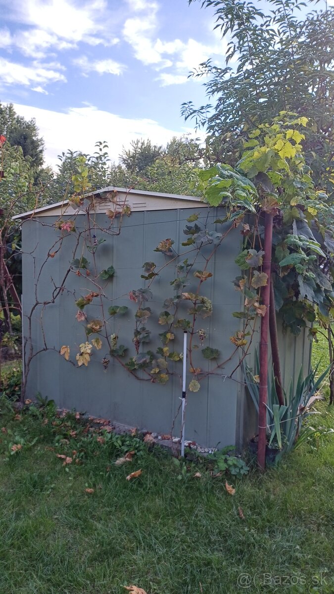 Záhradný domček - 3