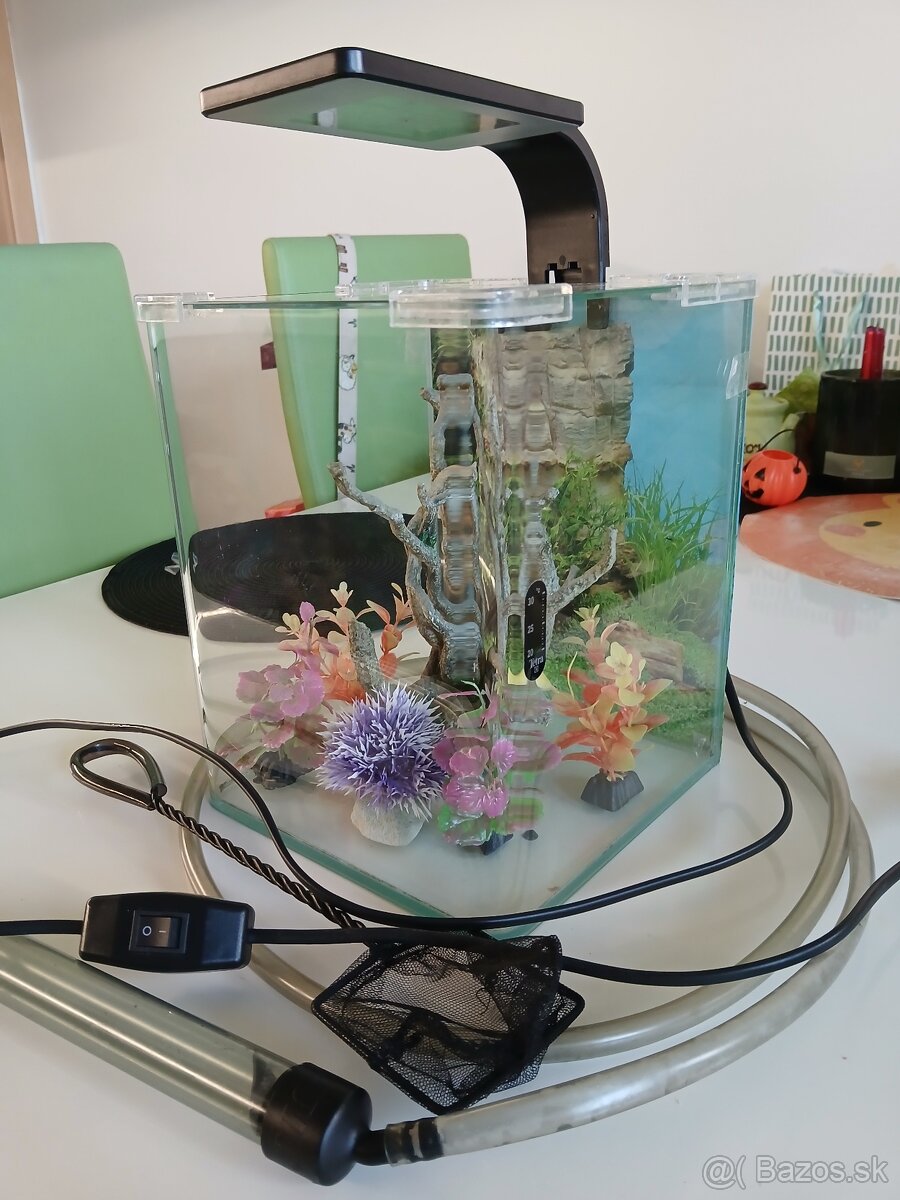 10l akvárium s vybavením - 3