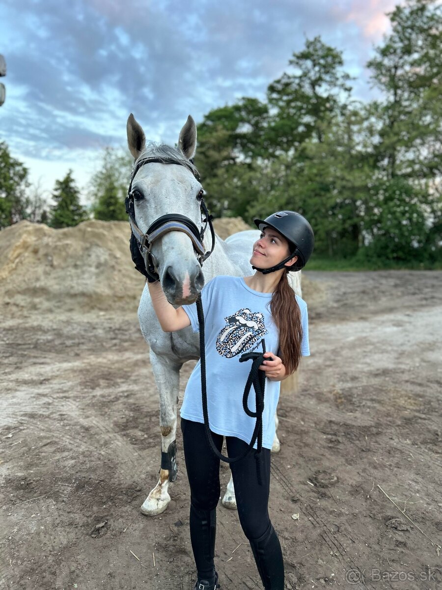 8.r valach Prince, skoky 100cm, vychadzky - 3