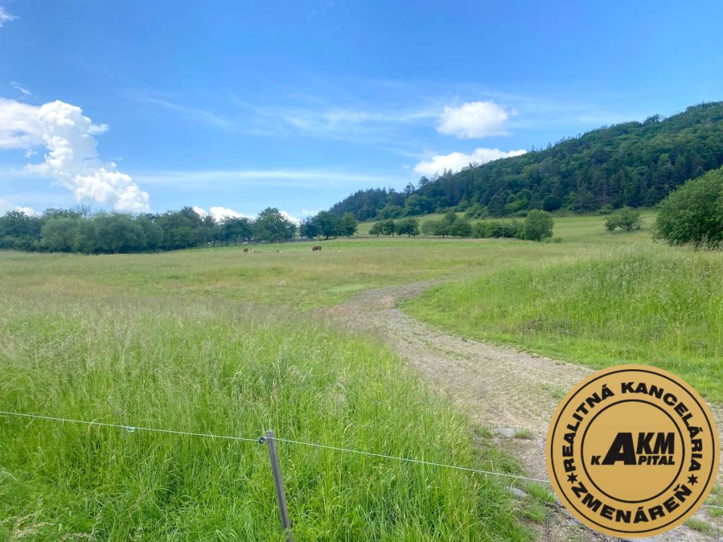 Pozemok na predaj, 13 237 m2 Slatinské Lazy, okres Detva - 3