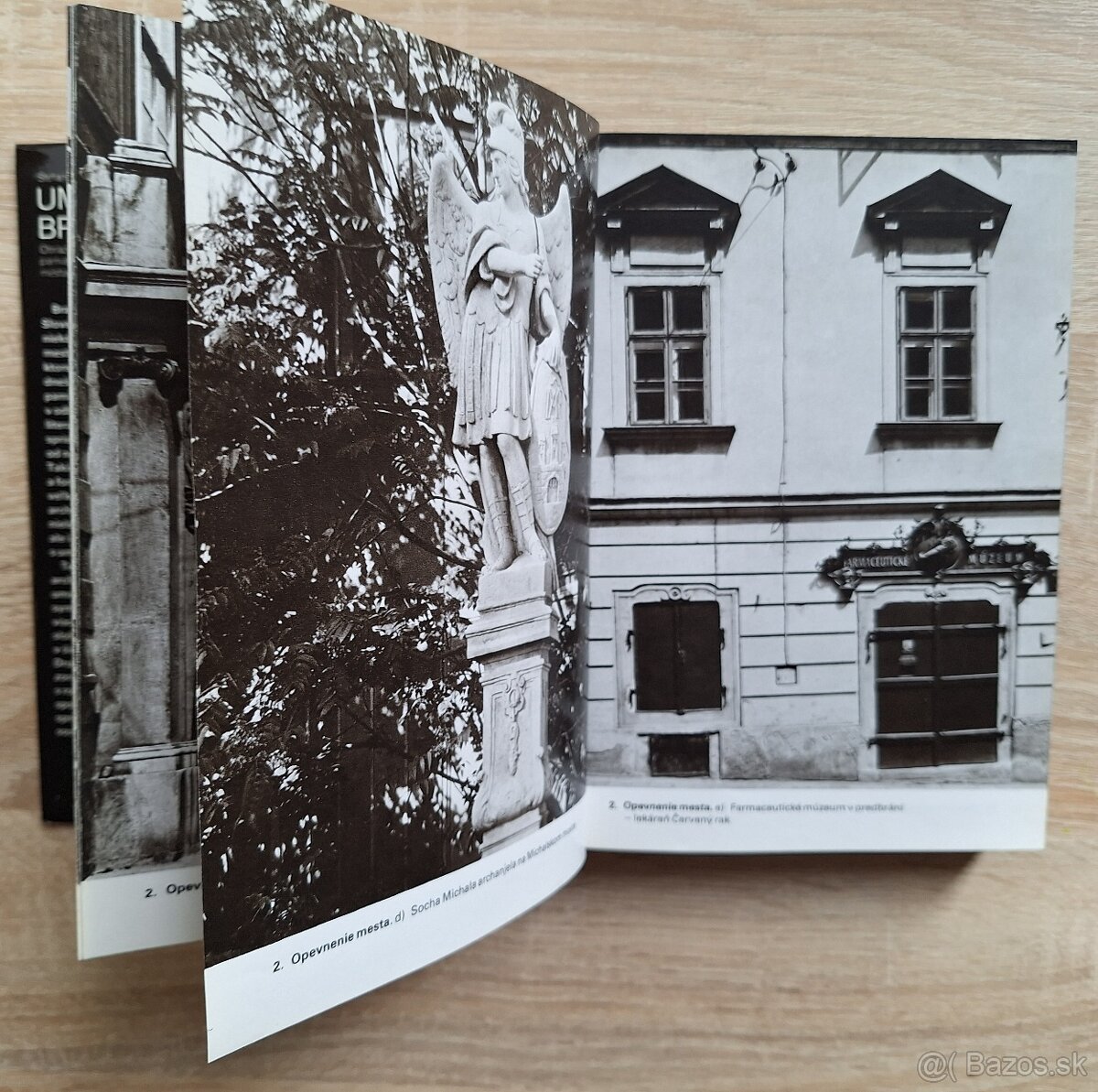 Umenie Bratislavy - 3