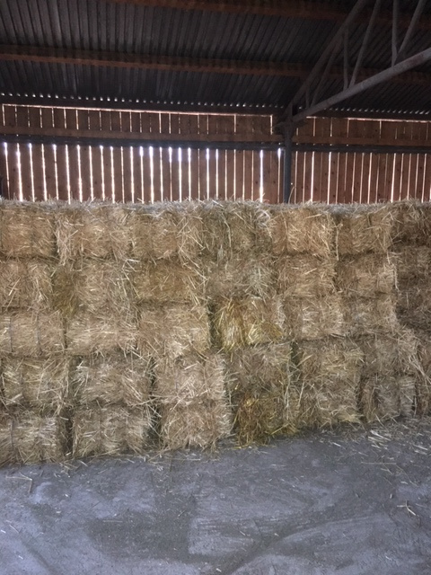 Predám seno v malých balíkoch - 3