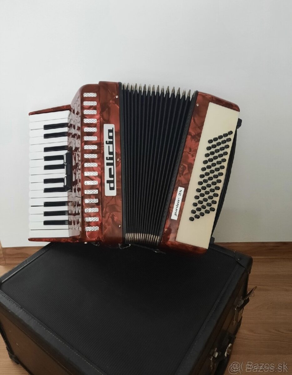 Akordeón Delicia Junior 24 - 3