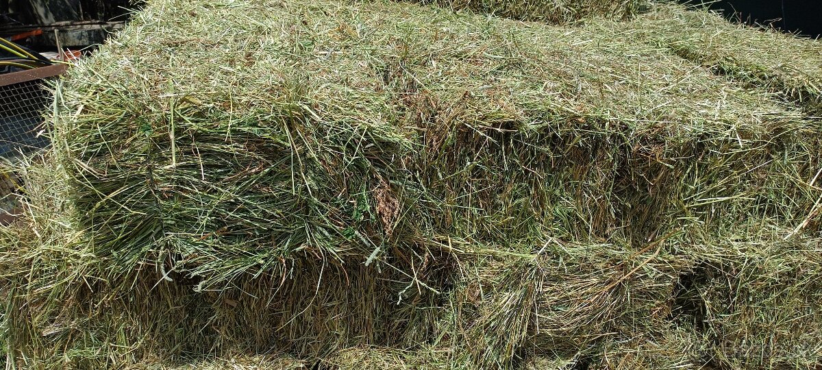 Predám malé balíky slamy a sena - 3