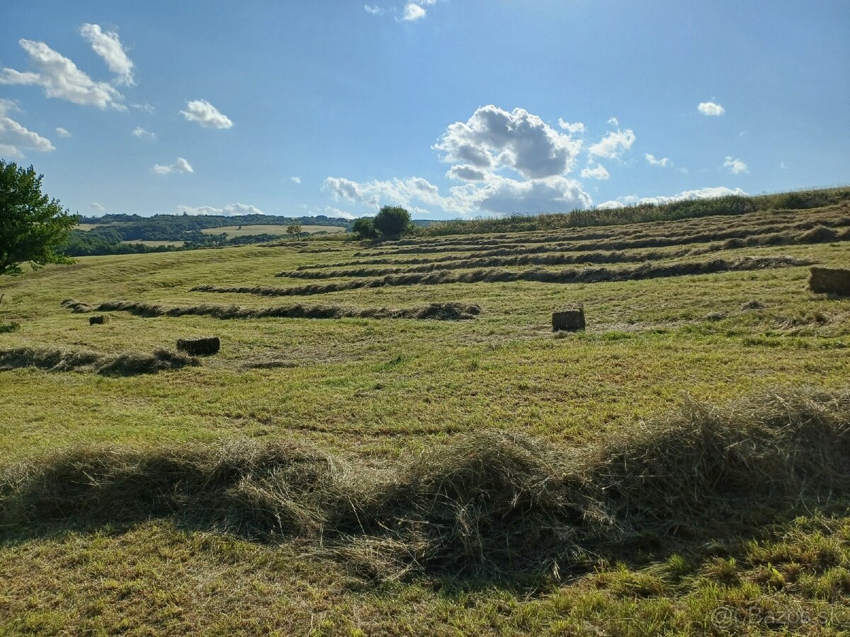 Predám balíky sena - 3