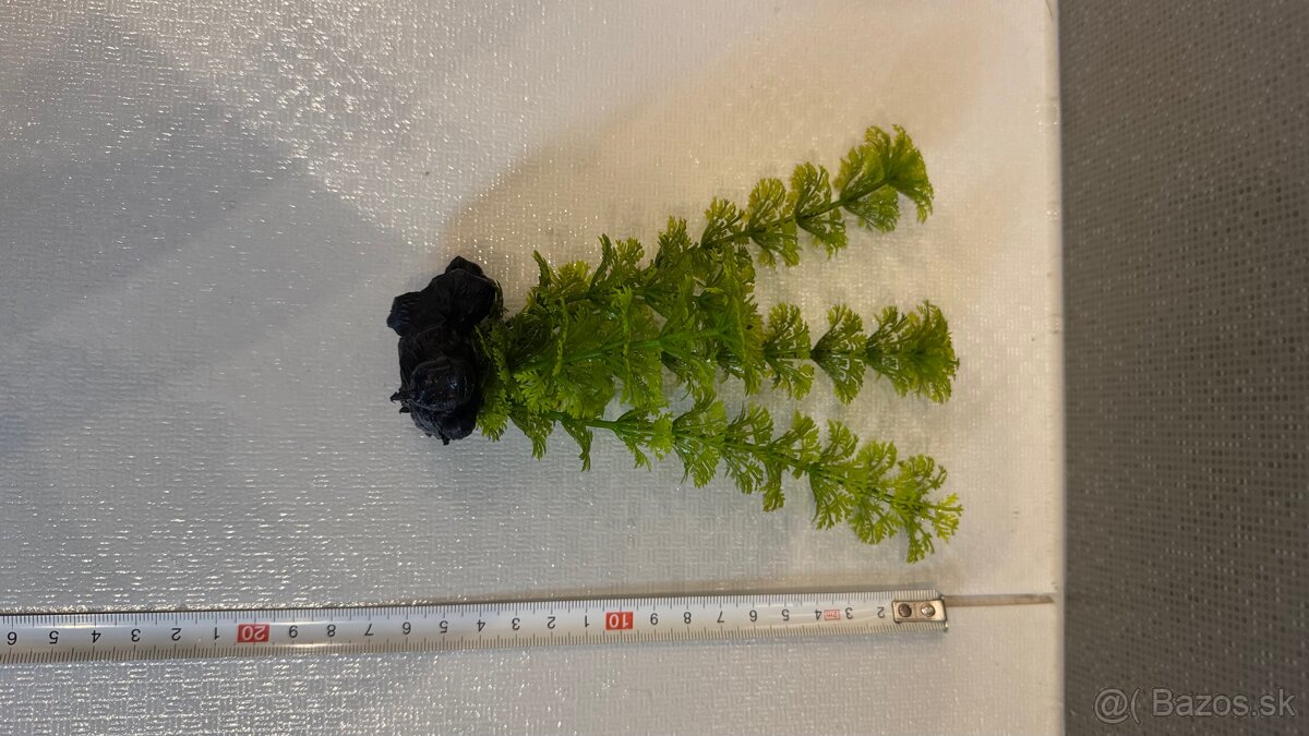 Rastlinky do akvária - 3