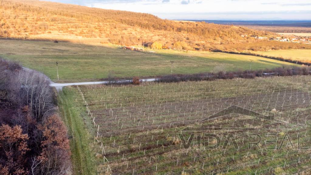 Krásny pozemok s potenciálom - 3