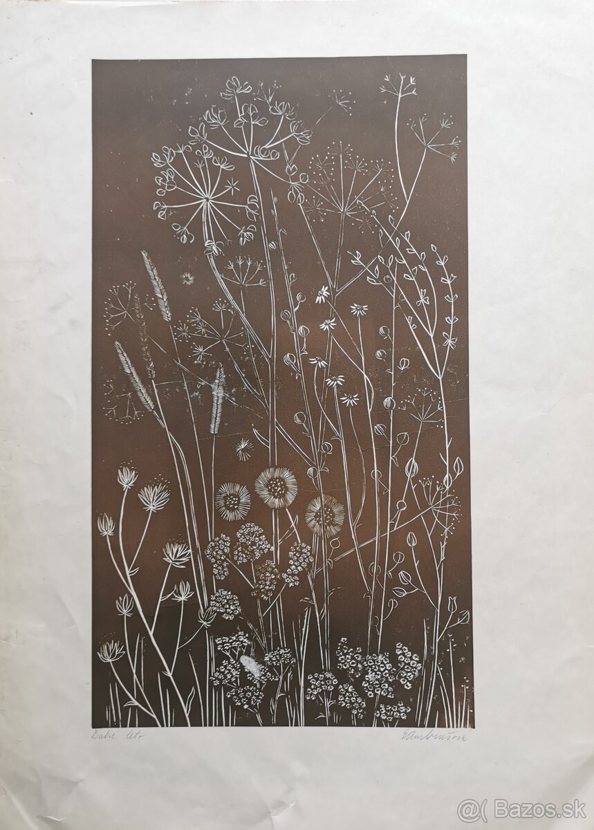 Edita Ambrušová - 3