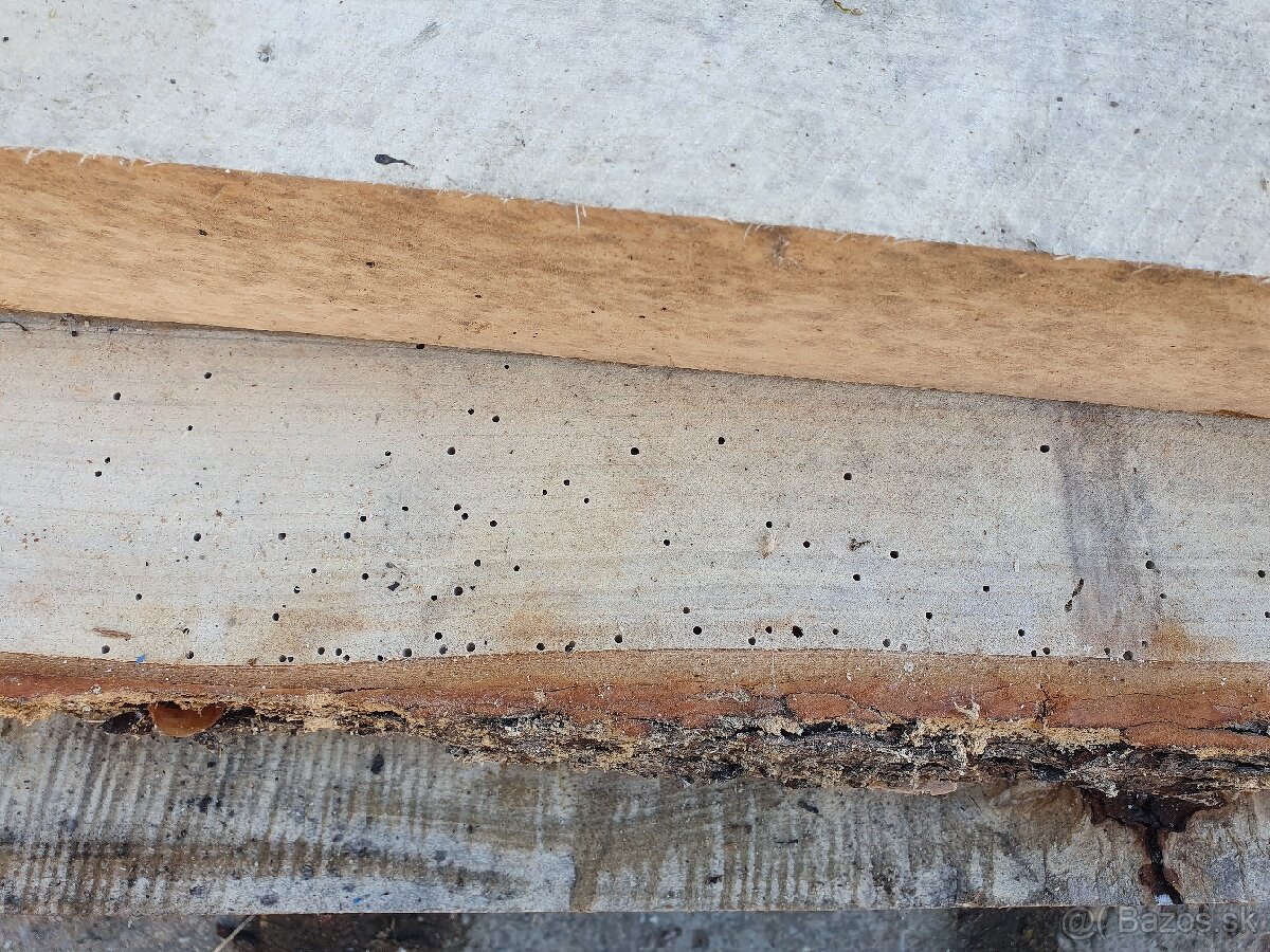 Stare rezivo - pagaštan fošne. - 3