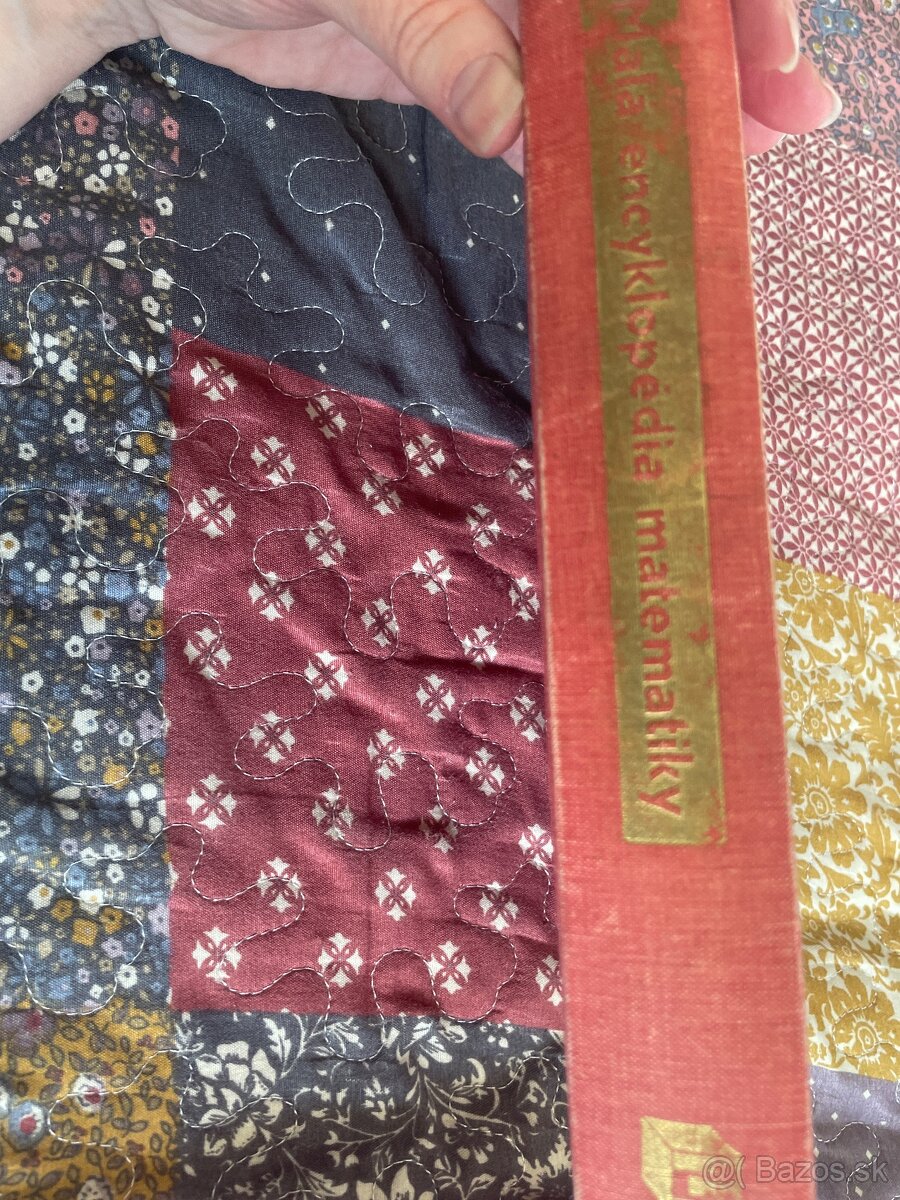 Malá encyklopédia matematiky - Prof.Dr. T.Šalát - 3