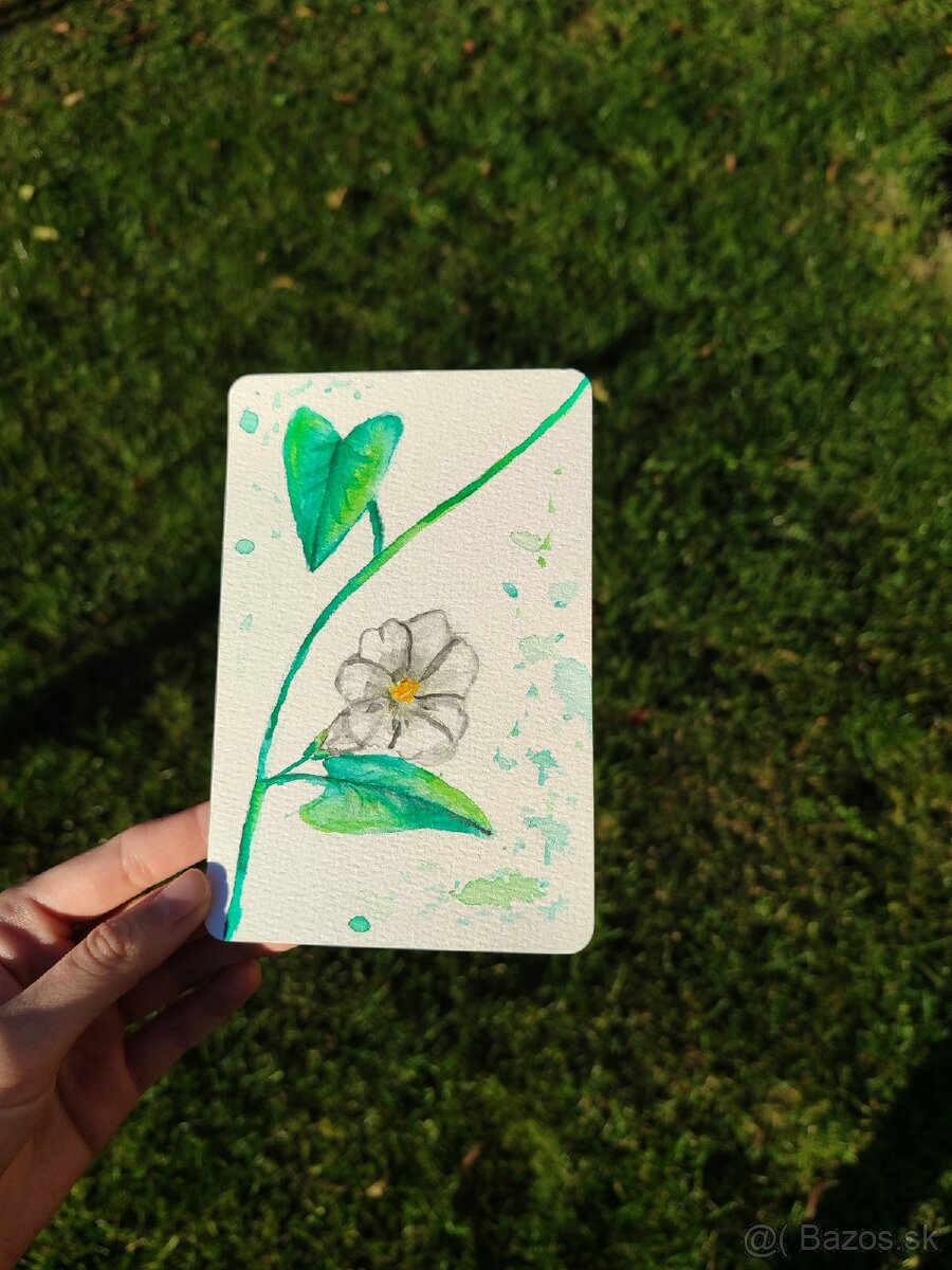 Predávam obrázky - 3