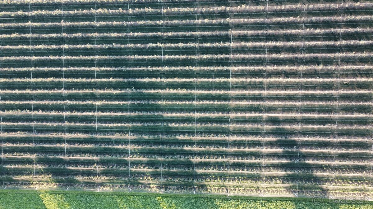 DJI Mavic Mini Fly Combo - 3