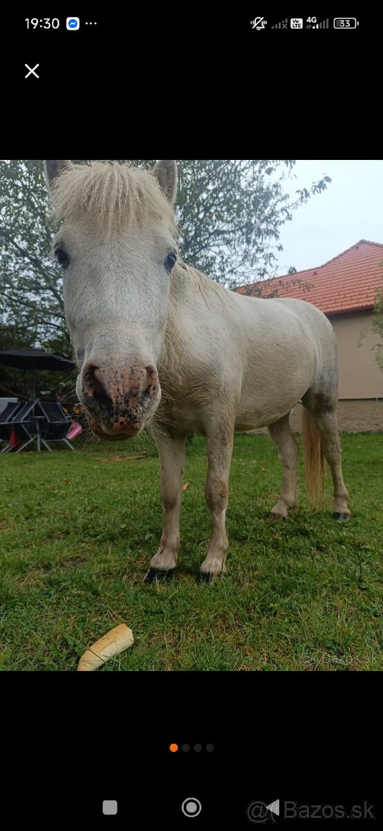 Predám poníka - 3