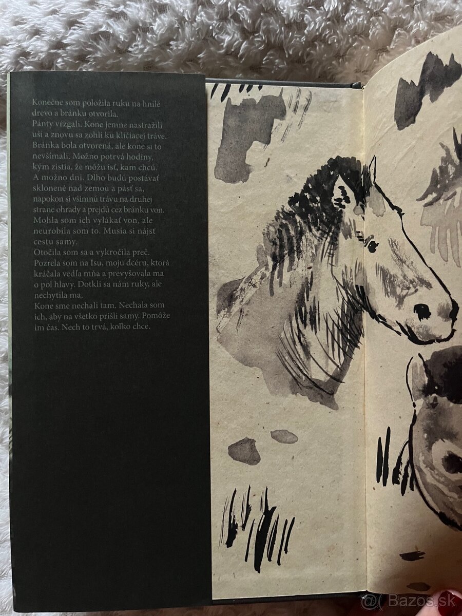 Kôň Przewalského - 3