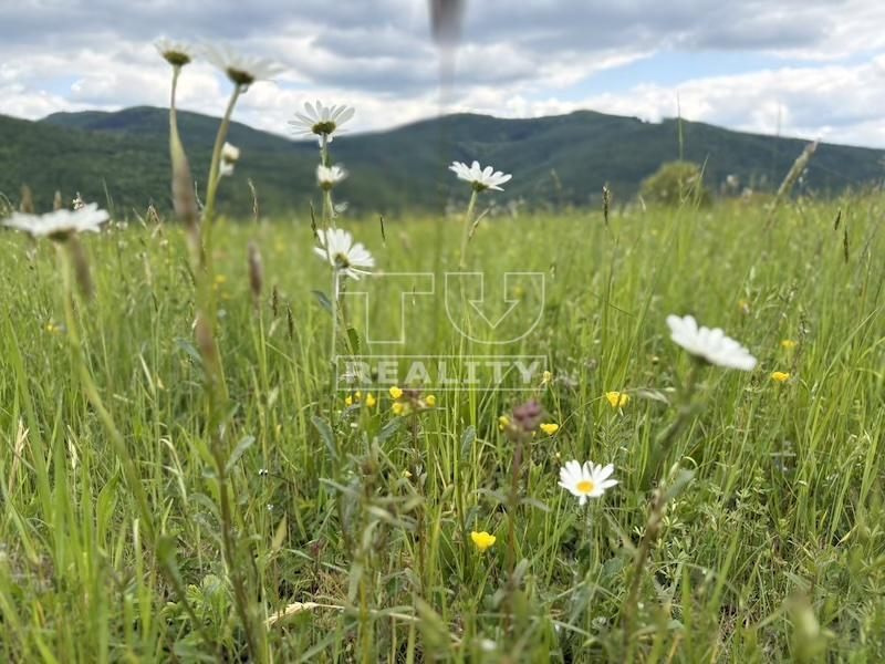 VEĽKÁ INVESTIČNÁ PRÍLEŽITOSŤ, INVESTUJ TAM, KDE HODNOTA... - 3