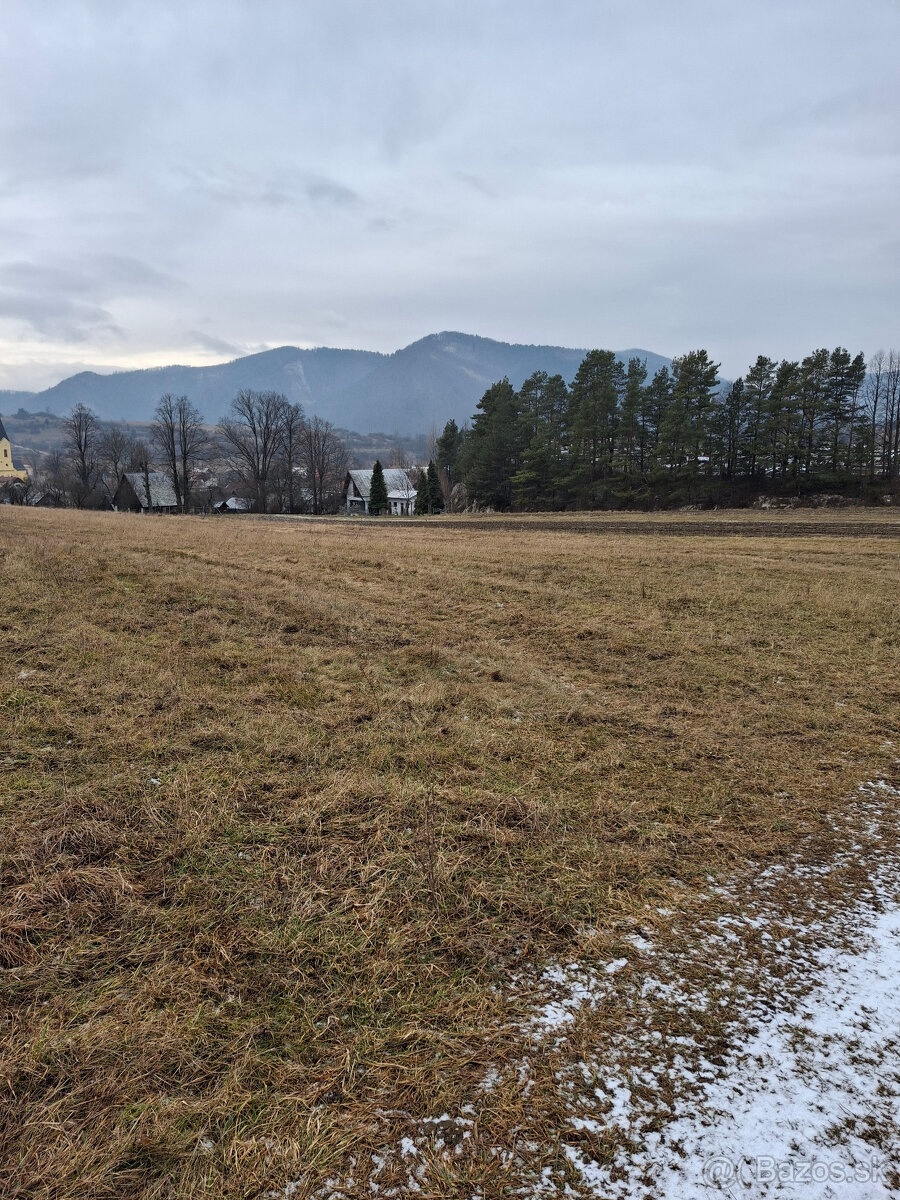 Predaj orná pôda Rajecká Lesná - 3