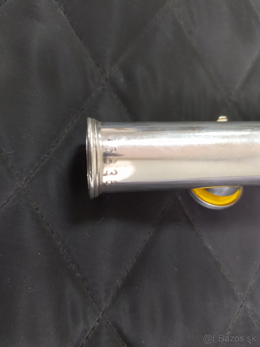 Master Student priecna flauta. - 3