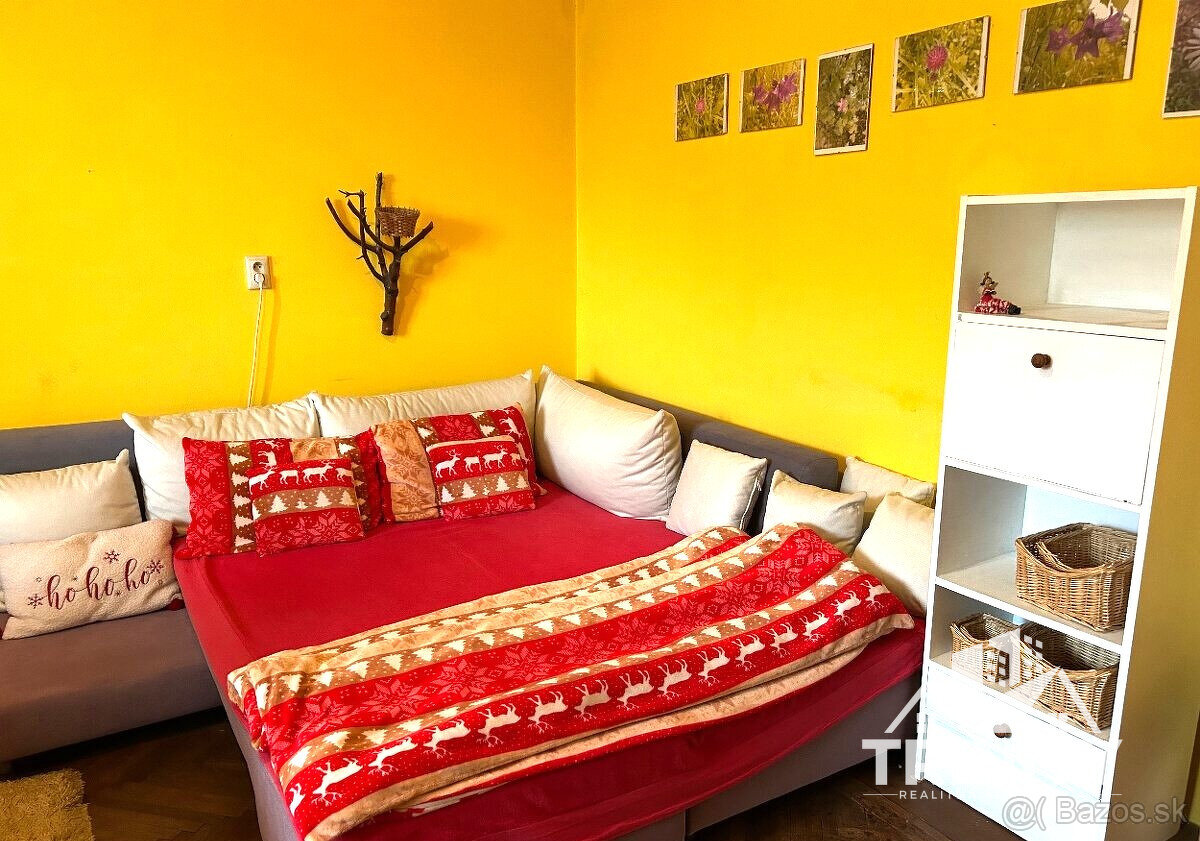 Na prenájom kompletne zariadený veľký 1-izbový byt s balkóno - 3