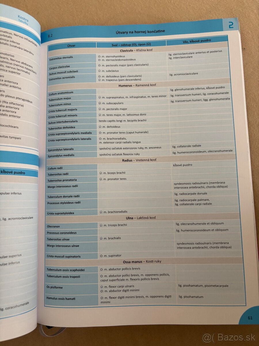 Memorix anatomie slovensky jazyk - 3