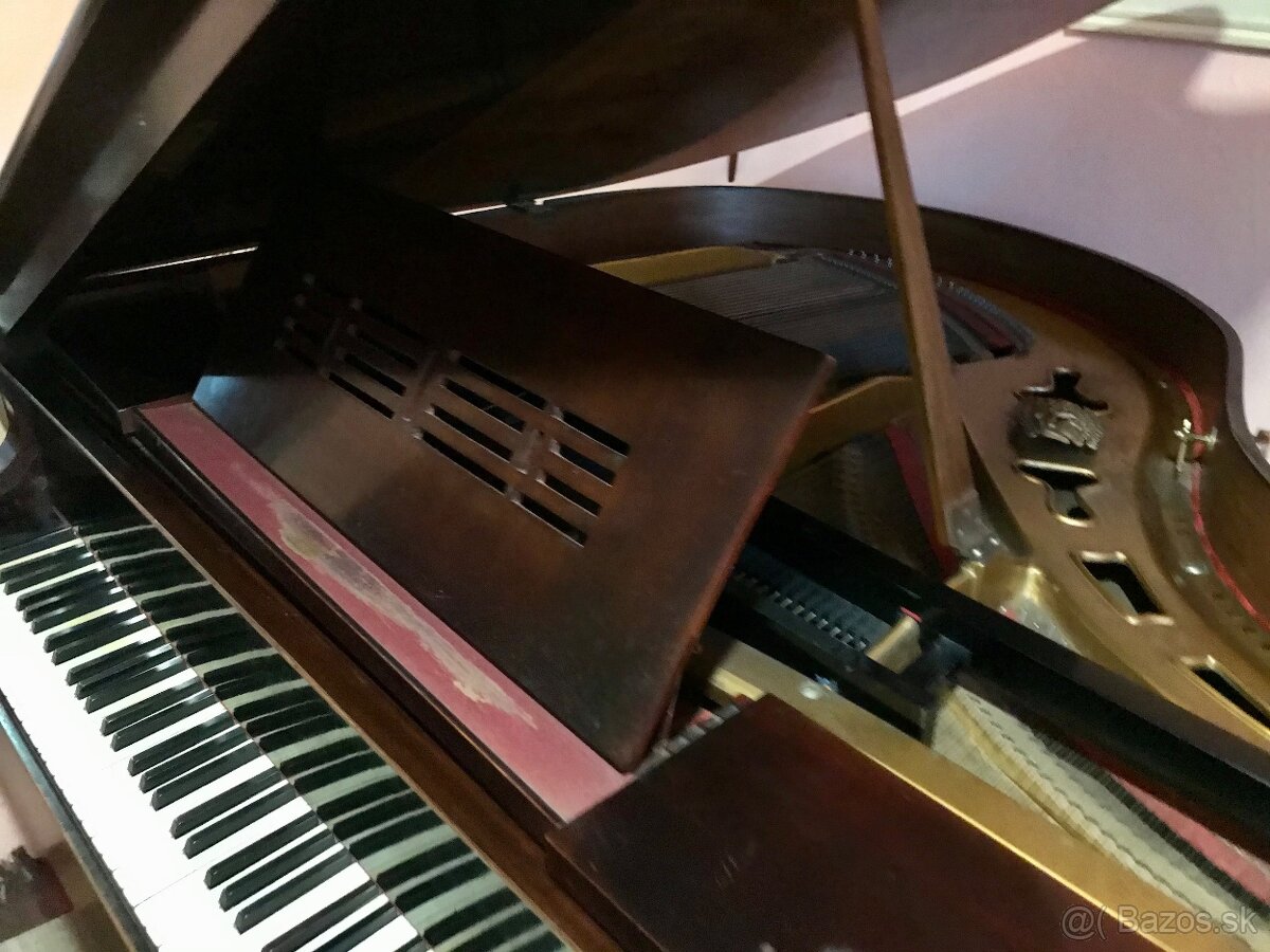Klavírne krídlo - 3