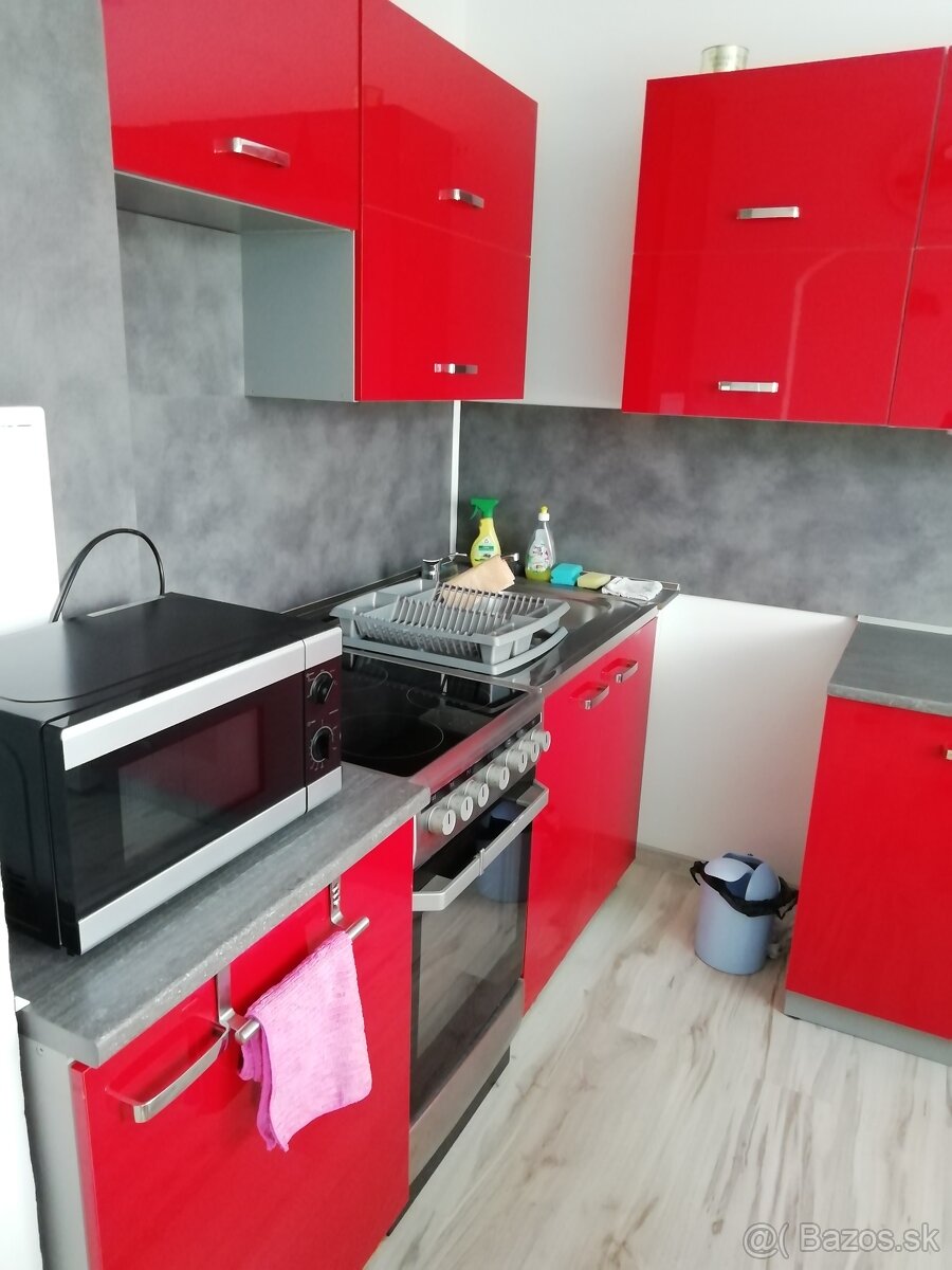 Prenájom 1 - izbového bytu - 3