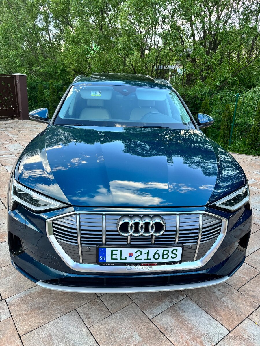 Audi e-tron 50 quattro Basis 230kW313HP A1 - 3
