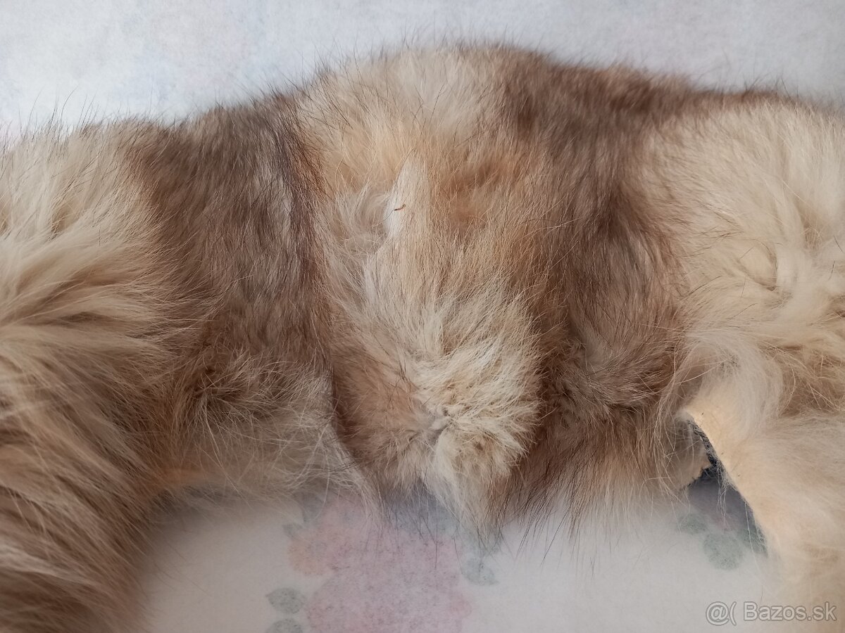 Kožušinový golier podšitý - 3